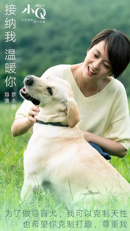 办存款证明需要什么手续